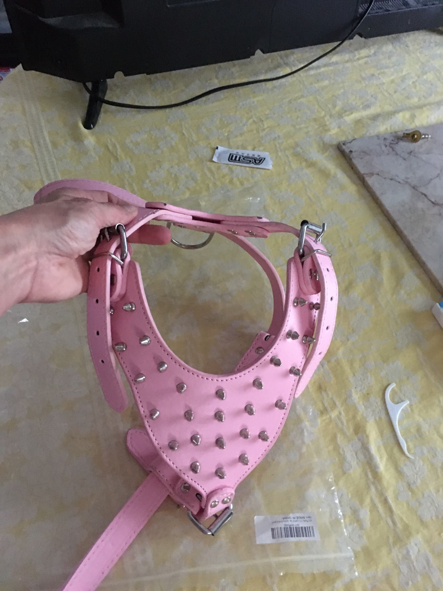 Spiked Dog Collar