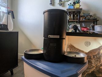 Dual cat feeder and pet food storage