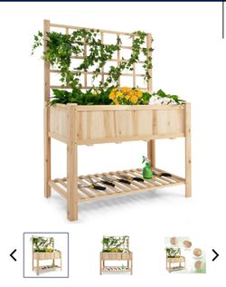 Raised garden bed with trellis