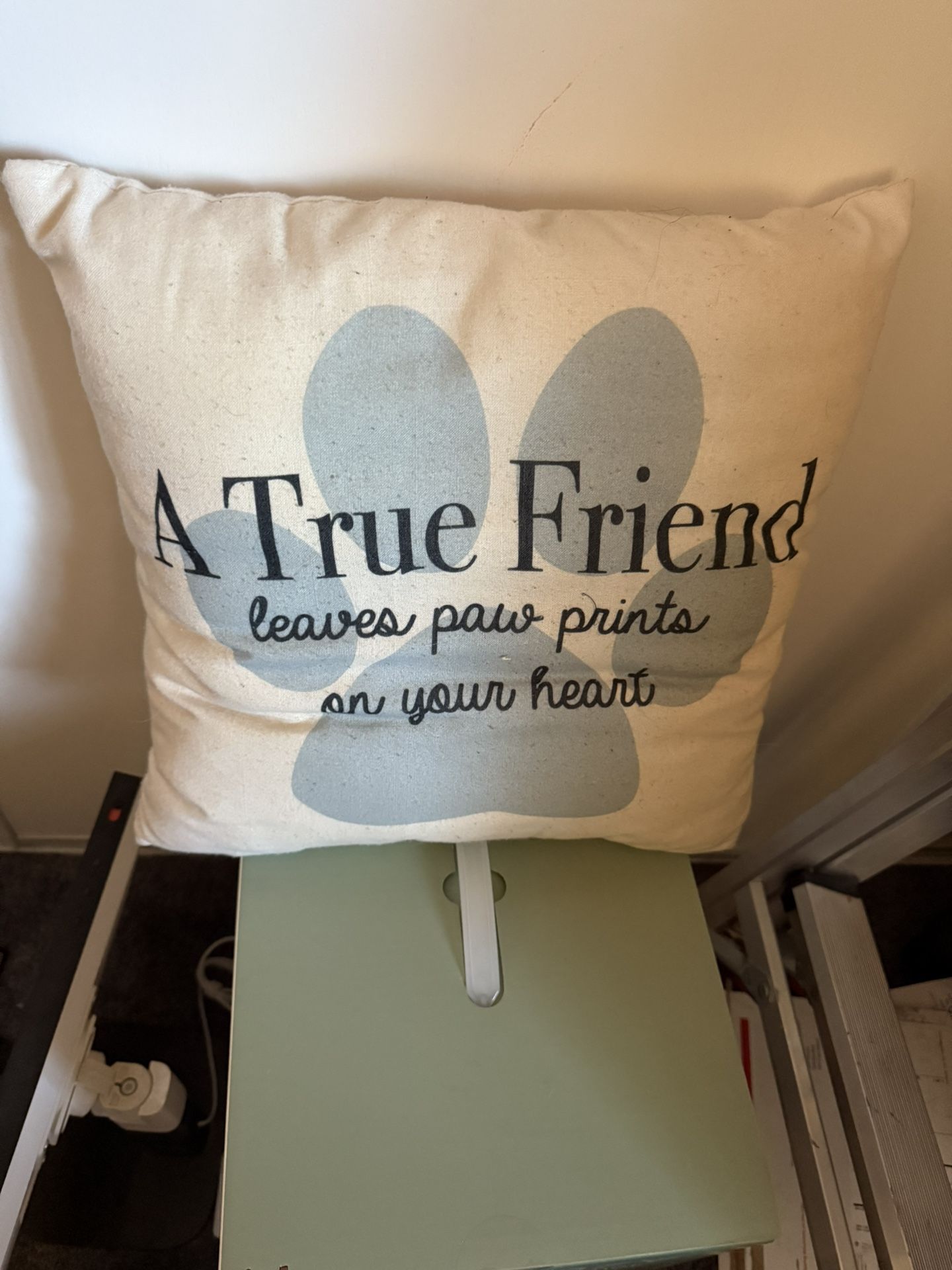 Couch Pillow