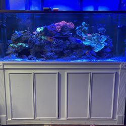 180 Gallons Tank