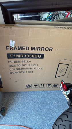 Brand new In The box