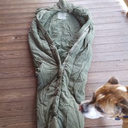 Us Military Mummy Intermediate Cold Weather Sleeping Bag
