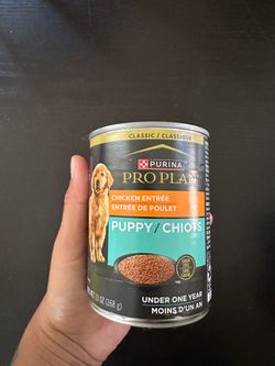 Dog Food