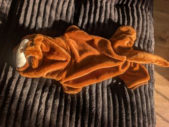 Pet Costume - Otter