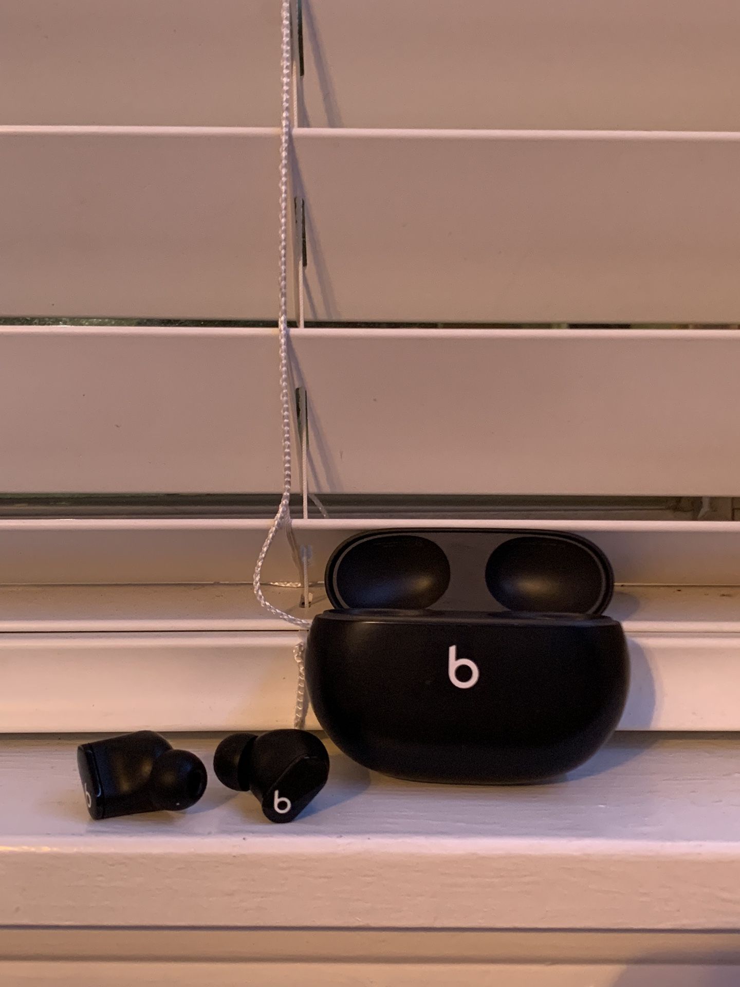 Studio beat Earbuds 