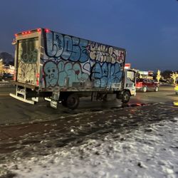 Nike Duke Low CL White Pine Green