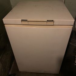 Freezer Case