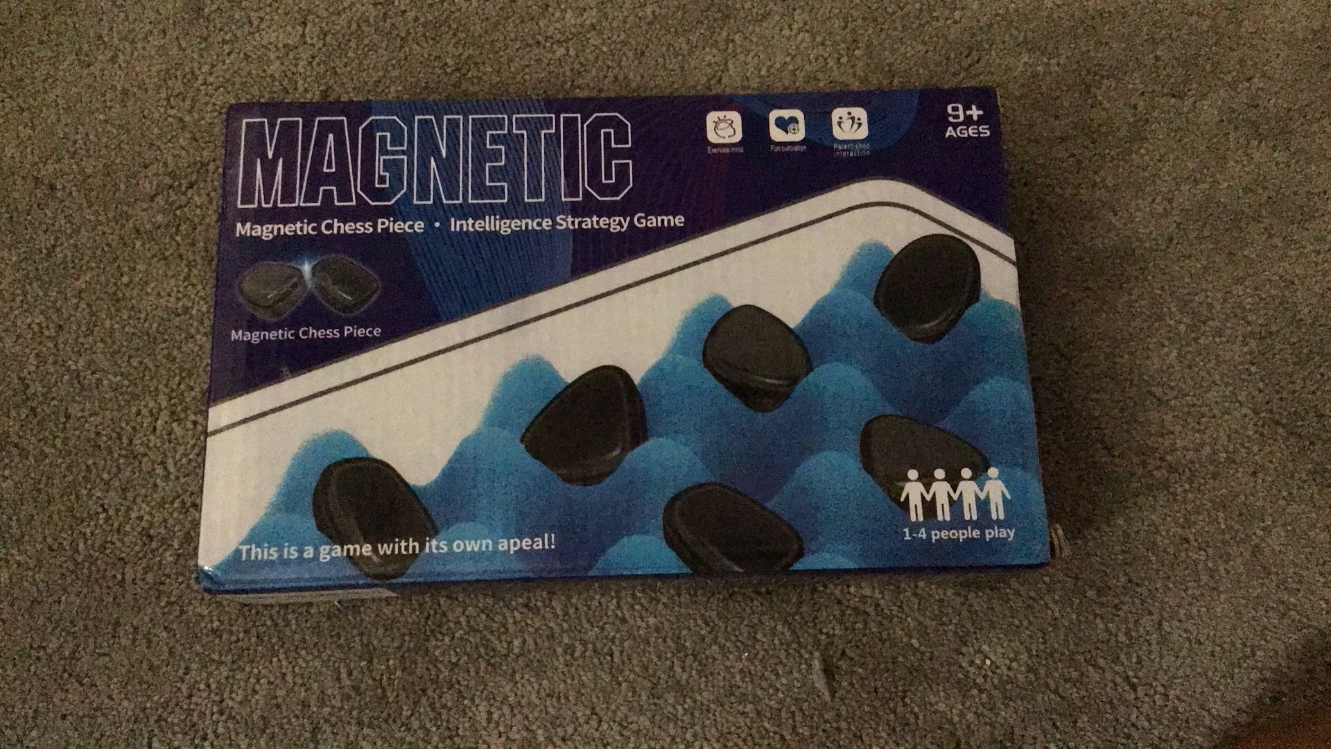 Magnetic Chess Piece Game