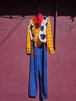 Woody Halloween Costume