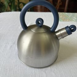 Stainless steel kettle