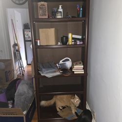 5 Shelf Bookcase