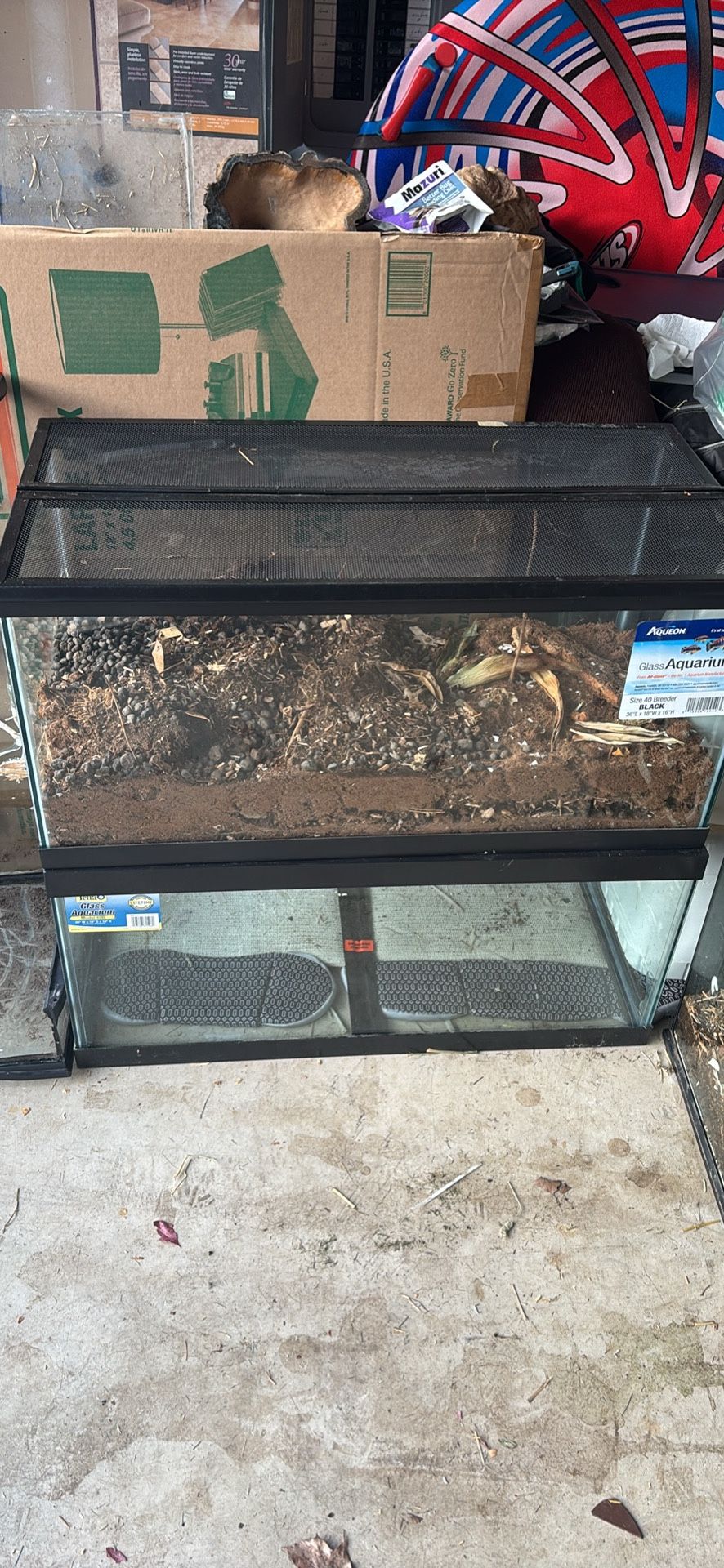 Two 40 Gallon Breeder Aquariums - One With Powder Blue Isopods