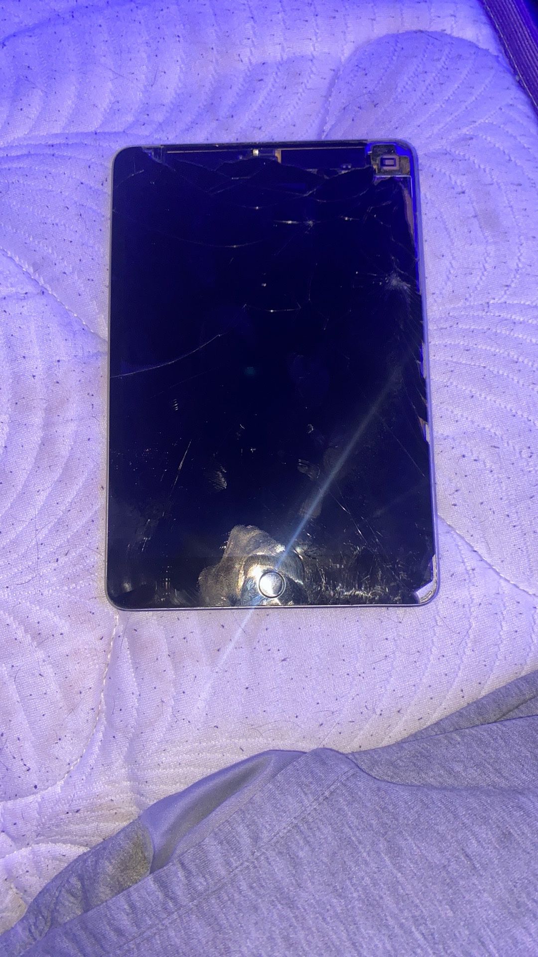 iPad Mini 4