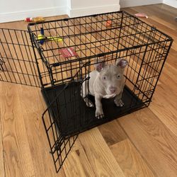 Dog Cage 