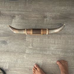 REAL bison horns