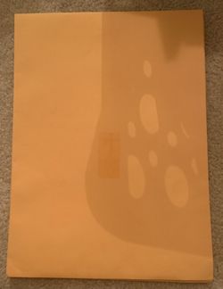 Yellow Envelopes 8x10