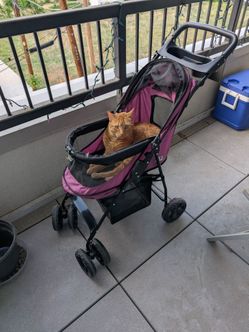 Pet stroller