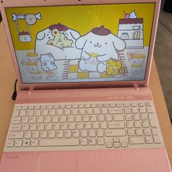 Pink VAIO Laptop