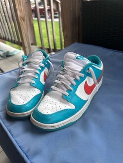 Miami dolphin dunks