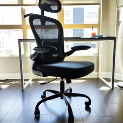 Ergonomic Office Chair