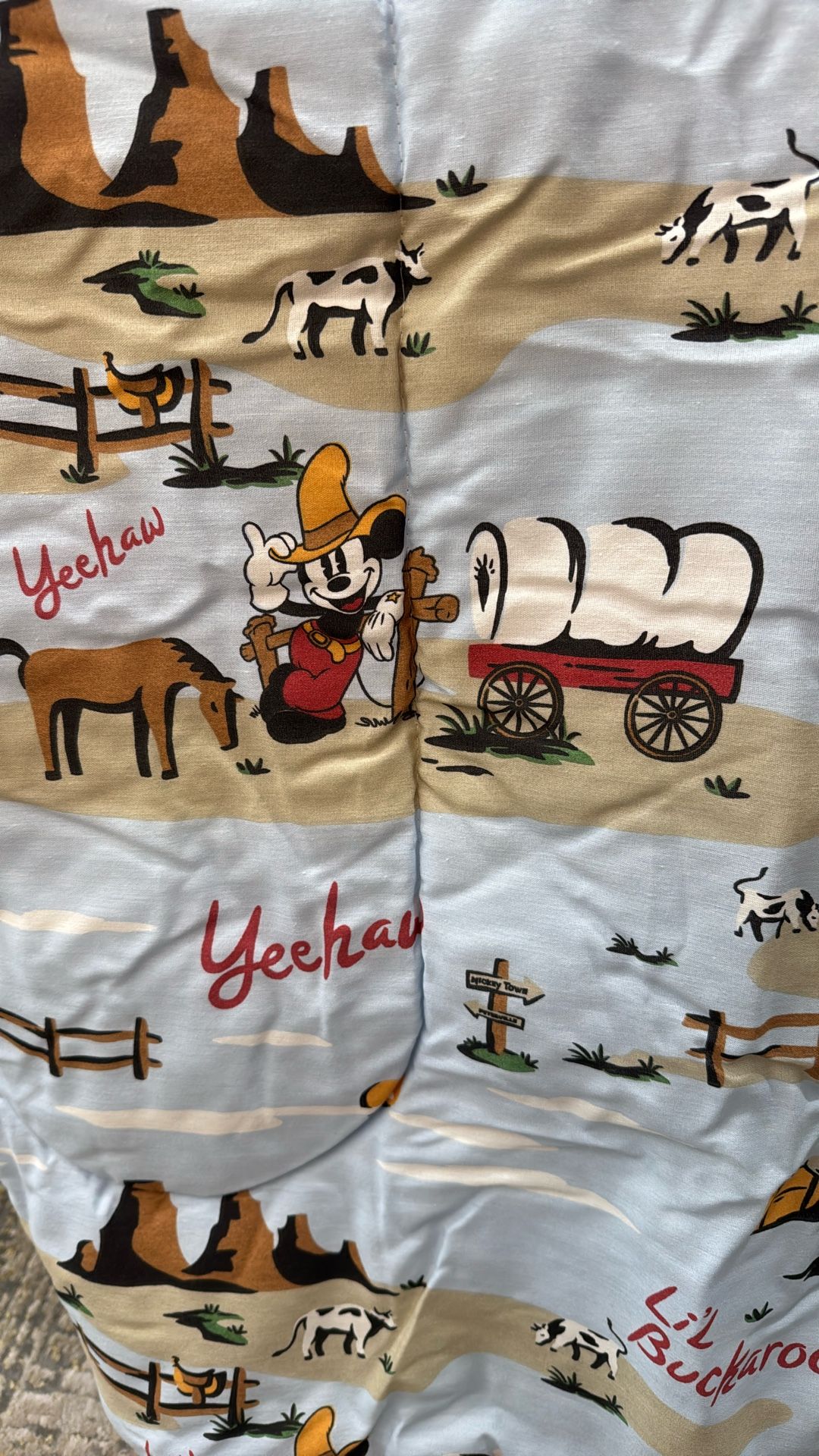 Vintage Disney Mickey Mouse Lil Buckaroo Full Size Bedroom/Bathroom Set