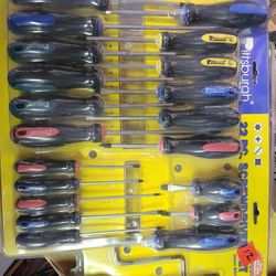 21pc Screwdriver Set 