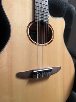 NTX1 NT Acoustic Electric Guitar