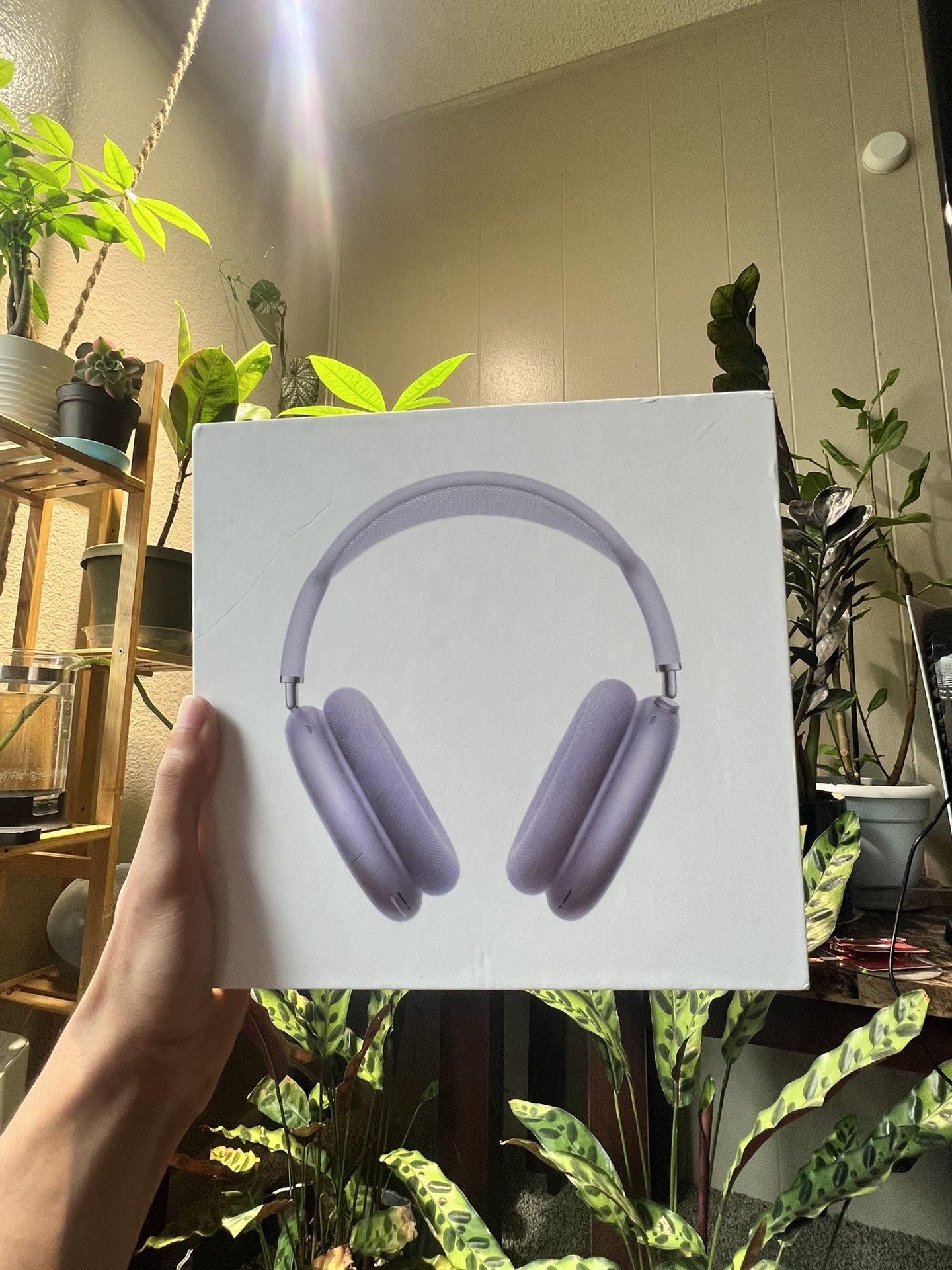 Apple Headphones