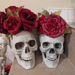 Skull Props