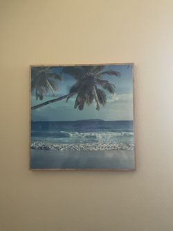 Pottery barn Kelly slater wall hanging