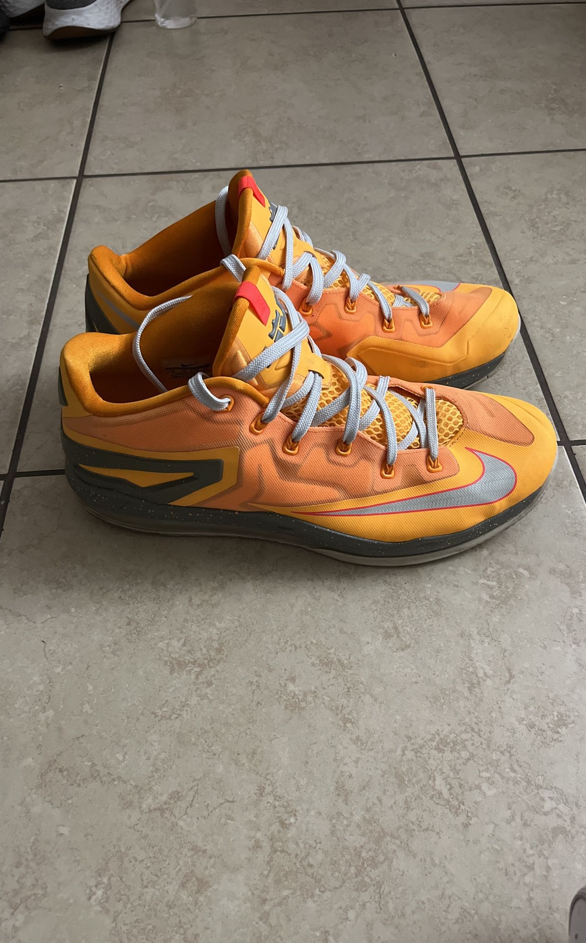 Nike LeBron 11 Low Floridian