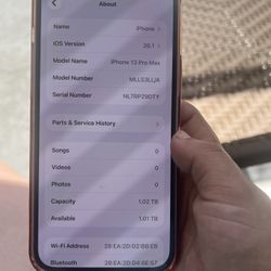 iPhone 13 Pro Max 1tb 