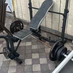 Olympic Weights