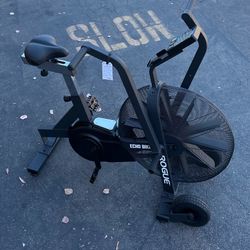 Rogue Echo bike v3