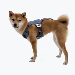 Sturdy Travel Dog Harness (small/medium)