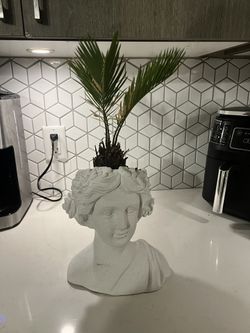 Vase Planter
