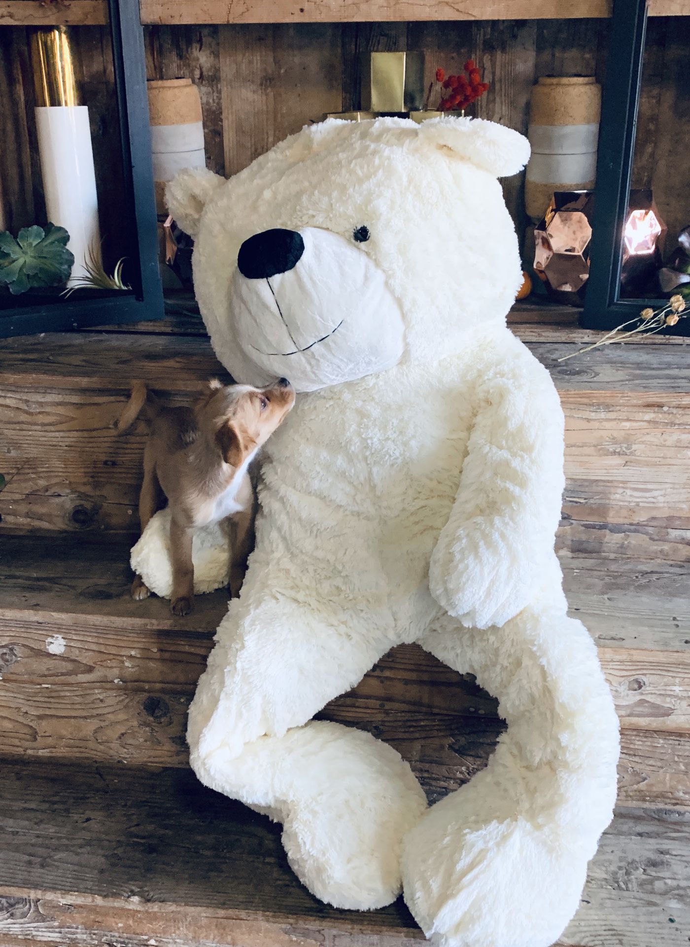 Giant Teddy Bear 35 inches