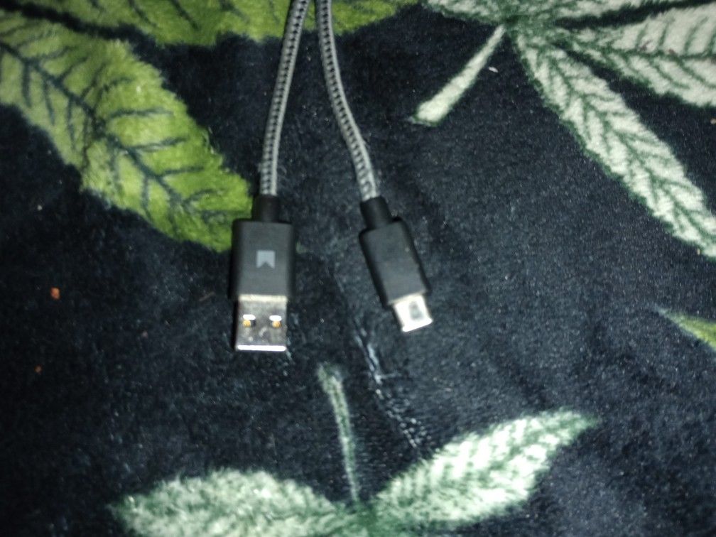 10 Ft Charger