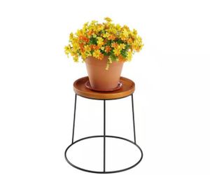 Vigoro 15 in. Wood Top Plant Stand_ Pick Up Only