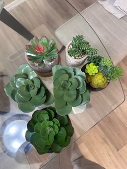 Artificial plants