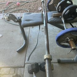 Dumbbells And Olympic Bars