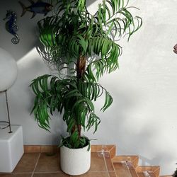 6ft Tall Artificial Palm Tree🌴(LEAVES FALL DOWN) AS IS… $25