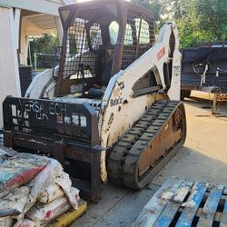 Bobcat