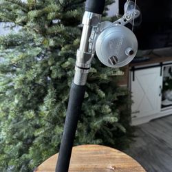 Avet MXL6 + Shimano Terez