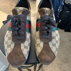 Brown Gucci Tennis Shoe 