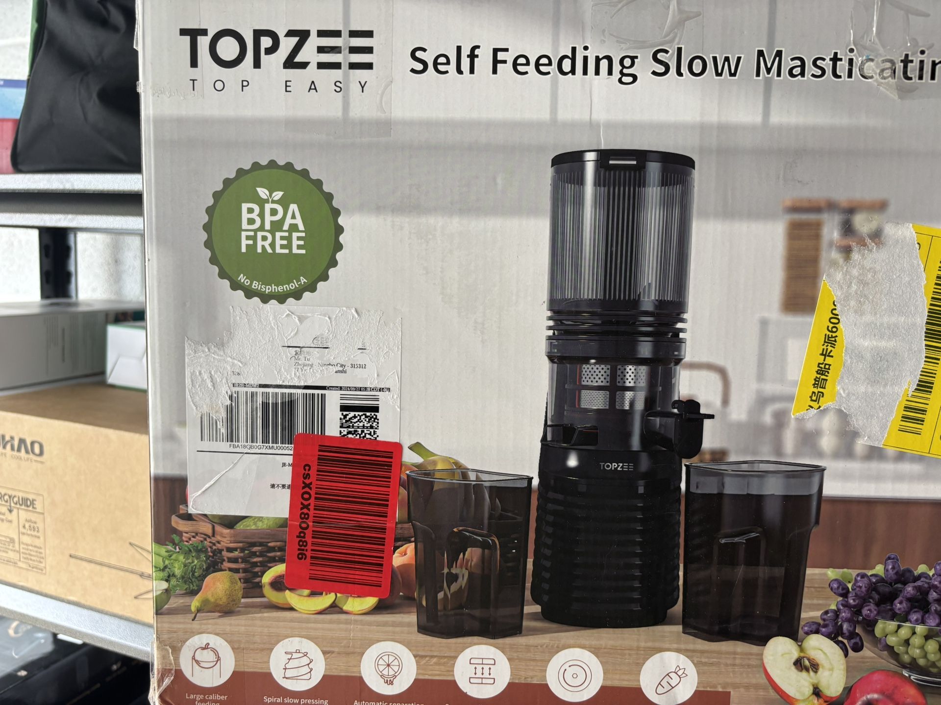 Self Feeding Slow Masticating Juicer