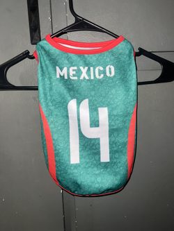 Mexico Dog Shirt