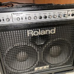 Roland D-BASS 210 Bass Combo Amplifier – 300W, COSM Modeling, FFP – Great Condition!