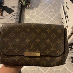 Louis Vuitton Purse Bag